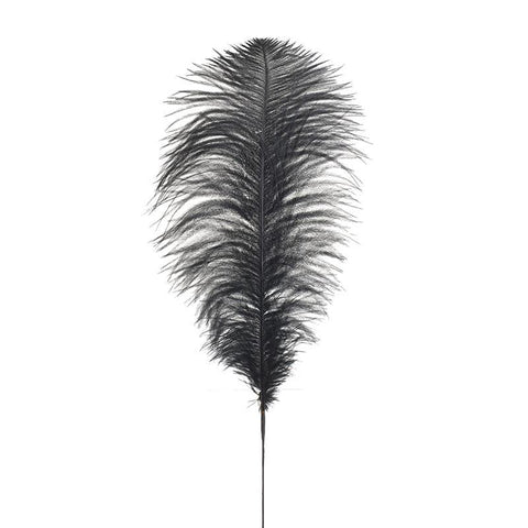 Feather Black