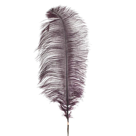 Feather Purple